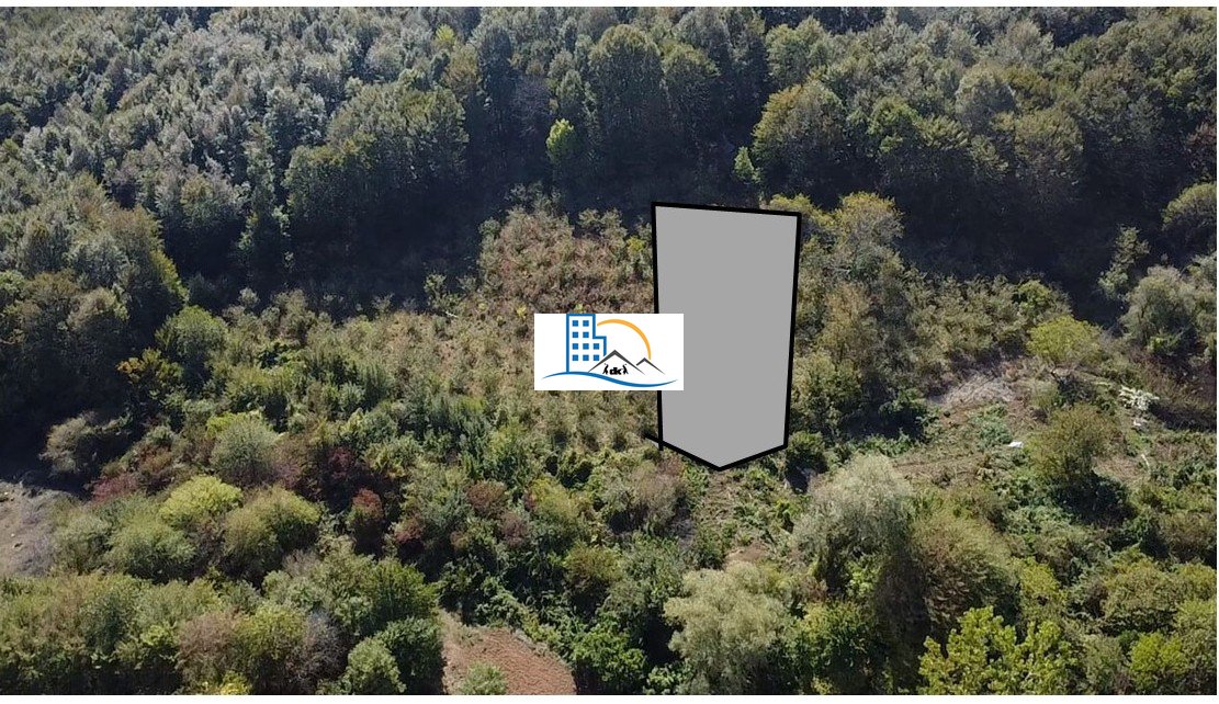 Şile Yaylalı'da Ormana Cephe satılık %15 İmarlı 1.766 m² arsa