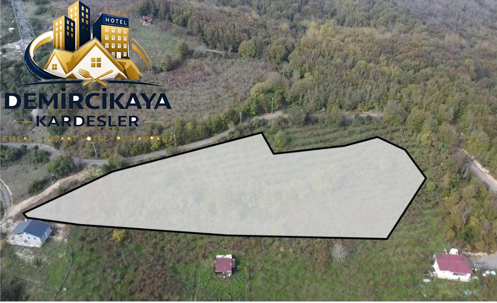 ŞİLE GÜL EMLAK'TAN KADI KÖYDE SATILIK FINDIKLIK 8560 M2